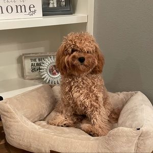 Meet your Posher, Julia